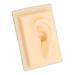 Human Ear Model Comfortable Lightweight and Soft Silicone for Teaching Demonstrations (Left)