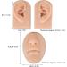 Luqeeg Soft Silicone Ear Model | 3D Flexible Nose and Mouth for Suture Practice | Simulation Display Props Set for Acupuncture and Jewelry | Teaching Tool - (2 Pack) - Buy Online on GoSupps.com