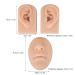 Buy 2 Silicone Ear Models for Piercing & Jewelry Presentation | Realistic Soft Flexible Artificial Ear - Medium Skin Color - Buy Online on GoSupps.com
