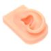 Baluue Simulation Ear Model Jewelry Ear Model Silicone Ear Body Parts for Practice Body Khaki Prosthesis Silica Gel Silicone Body Parts Earring Display Model Simulation Ear