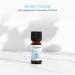 Tisserand Mind Clear Roller Ball Essential Oil 10ml - Pack of 1 - Buy Online on GoSupps.com