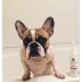 Warren London Paw Sani Scrub with Brush 237 ml - Buy Online on GoSupps.com