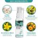 Natural Earwax Removal Spray for Cochlear Blockage (2-Pack) - Effective Anti-Cochlear Blockage Solution - Buy Online on GoSupps.com