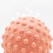 Hedgehog Massage Balls Set - 2 Piece Foot & Gymnastics Massage Balls (49mm) | Orange & Green Nopping Ball for Relaxation & Fitness - Buy Online on GoSupps.com