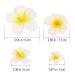 Beaupretty 4Pcs Flower Hair Clips - Hawaiian Plumeria Foam Flowers for Wedding & Holiday - Photo & Event Hair Claw Clip Set - Buy Online on GoSupps.com