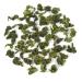 Buy Exclusive Tie Guan Yin Oolong Tea - Intense & Delicate Floral Taste Hand-Processed 70g Tin | Premium International Shipping - Buy Online on GoSupps.com