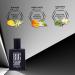 Big Shot Black Long Lasting Perfume | Fongure Aromatics Fragrance | Everyday use Eau de Perfum For Men | 30ml - Buy Online on GoSupps.com