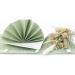 Buy 50 APARTina Fabric-Like Airlaid Napkins - Phalaris Natural Green 40x40 cm | Premium Eco-friendly Tableware for Elegant Dining - Buy Online on GoSupps.com