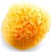 Natural Sea Sponge for Gentle Baby Bath | Hypoallergenic & Eco-Friendly - Buy Online on GoSupps.com
