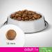 Mars Dog Adult 1 + M/L | 1.4 kg Dry Dog Food - Buy Online on GoSupps.com