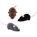 Cisixin Small Remote Control Electronic RC Wireless Rat Mouse Toy for Cat Dog Pet Novelty Gift (Gray) - Buy Online on GoSupps.com