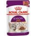 Royal Canin Sensory Taste in Gravy Wet Cat Food 85g (Pack of 48) - Buy Online on GoSupps.com