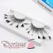 Dorisue Halloween eyelashes Spider eyelashes Firework Feather eyelashes Custom Cosplay Dramatic Extra Long lashes for Party (5 Pairs) - Buy Online on GoSupps.com