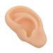 minkissy 1pc Silicone Ear Silicone Teaching Model Ear Model Ear Display Model Ear Mold Ear Presentation Model