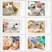 Fanme Anti-Scratch Cat Boots - Pet Grooming Silicone Paw Protector for Home Bathing & Shaving - Buy Online on GoSupps.com