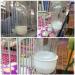 Plastic Bird Seed & Water Feeder Dispenser for Canary, Budgie, Cockatiel - Transparent - Buy Online on GoSupps.com