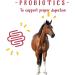 Manna Pro Weight Accelerator for Senior Horses - 8 lbs with Omega 3 & Probiotics - Buy Online on GoSupps.com