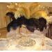 Sowder 10pcs Black Ostrich Feathers 12-14inch for Home Wedding Decoration - Buy Online on GoSupps.com