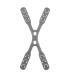 TT- 4 pieces of mask holder back head for mouth protection mask holder adjustable mask band mask extension anti-slip mask mask chain earshone for adults & children (gray OneSize) Gray OneSize