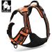 Buy Winhyepet Truelove No-Pull Dog Harness - XL Orange Adjustable Reflective with Pet Dishes & Control Handle for All Sizes - Buy Online on GoSupps.com
