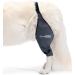 Ortocanis Kniebandage f r Hunde - Links Gr e S | Bandage f r Kreuzbandverletzungen Patella-Luxation & Osteoarthritis - Buy Online on GoSupps.com