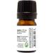 Oregano Essential Oil 1/6 fl oz (5 ml) Glass Bottle 100% Pure Essential Oil - GreenHealth - Buy Online on GoSupps.com