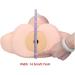 Mannequin Head - Manikin Head - with Shoulders External Carving Acupuncture Points for Acupuncture Point Beauty Practice Model for Beginners Constructive23 - Buy Online on GoSupps.com