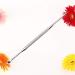 Silver Double-Ended Ear Wax Removal Tool | Stainless Steel Spiral Ear Pick | Multifunctional Ear Care Kit | Portable Earwax Removal Products - Buy Online on GoSupps.com