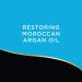 Buy Agree Argan Oil Conditioner - Color Safe Paraben Free 12.5 oz (Pack of 12) | International Shipping Available - Buy Online on GoSupps.com