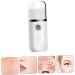 Ipetboom Hydrating Instrument Portable Face Steamer Nano Facial Mister Spray Bottle Spa - Buy Online on GoSupps.com