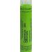 Calendula Officinalis 200K Homeopathy Medicine Schmidt-Nagel Canada (Homeodel) 90 pellets/granules
