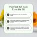 Bali Alus Pure Essential Oil 10ml Herb Spices (Pack of 1) - Buy Online on GoSupps.com