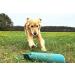 Romneys Standard Dummy 500g Blue - Floatable & Unsinkable Dog Training Tool | International Shipping - Buy Online on GoSupps.com