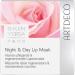 ARTDECO Night & Day Lip Mask intensively caring and regenerating lip mask with rose scent 1 x 20 ml - Buy Online on GoSupps.com