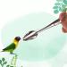 Metal Parrot Feeding Spoon - Stainless Steel Hand Feeding Spoon for Cockatiels & Small Birds - Perfect for Food Milk & Water - Buy Online on GoSupps.com