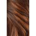 Sensationnel Zelena 13x6 What Lace Wig - Flamboyage Chocolate - Buy Online on GoSupps.com