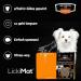 Qchefs Lickidental Mini Soother - Dental Care for Dogs | Antibacterial Tooth Cleaning Flakes to Remove Tartar & Gum Disease - Buy Online on GoSupps.com