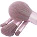 DFHBFG Makeup Brush Set - 10 Soft Hair Brushes for Blush Powder & Foundation | Universal Long Pole Design - Buy Online on GoSupps.com