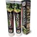 Ninon Charcoal Toothpaste (6.5oz) 2 Pack- 100% Fluoride Free - No Saccharin - No Paraben - Vegetable Base