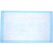 Blue Hospital Pads 25 Count (23x36 Inch) - Disposable Underpad for Incontinence - Absorbent Waterproof Chux by BrightCare - Buy Online on GoSupps.com