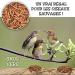 Dried Meal Worms 2 kg Fits 12500 ml Treats for Birds Fish Turtles Hedgehogs Rodents and Reptiles - Buy Online on GoSupps.com