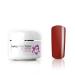 N&BF Halloween Vampire Lady Color Gel Set | 4x5ml UV Gel | Professional Nail Art Savings Pack | Made in EU | Perfect for Geln gel - Buy Online on GoSupps.com