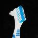 Denture Care Brush Set - 4 Pcs Double Bristle Head Brushes for False Teeth Cleaning - Portable Denture Cleaner - (4 Colors) - Buy Online on GoSupps.com