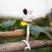 Universal Baby Monitor Bracket - Adjustable Baby Camera Holder for Cot Railing - Compatible with Most Baby Monitors (White) - Buy Online on GoSupps.com