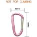 LESHIRY Large Pink Carabiner Keychain 3 Aluminum D-Ring Clip Hook - 2 Pack - Buy Online on GoSupps.com