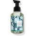 White Barn Candle Company Bath and Body Works Gentle Foaming Hand Soap w/Essential Oils- 8.75 fl oz - Fall 2020 - Many Scents! (Coconut Mint Drop)
