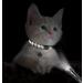 Taglory Reflective Cat Collar - 2 Pack Adjustable Black Collars with Safety Clasp & Bell for Kittens (15-20cm) - Buy Online on GoSupps.com