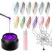 Desikixudy 23 Piece Set Acrylic Set UV Gel Nail Polish Painting Brushes Dotting Pen Kit Manicure Clean Brush Tool - Buy Online on GoSupps.com