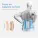 Lumbar Support Set for Sciatica Relief | Ergonomic Back Support for Men & Women | XXL Size Color B - Buy Online on GoSupps.com