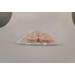 Eyelash Extension Tape 5 Rolls - EBANKU Micropore Fabric, Breathable, 0.5 inch x 10 Yards - Pack of 1 - Buy Online on GoSupps.com